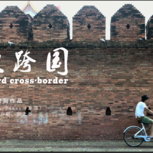 Forced Cross-Border/硬跨国